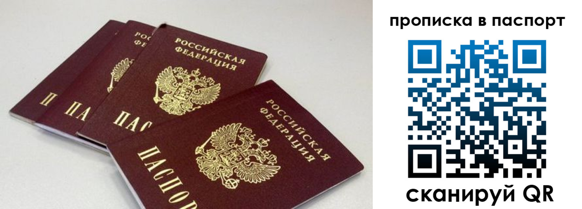 найти адрес прописки в Светлом